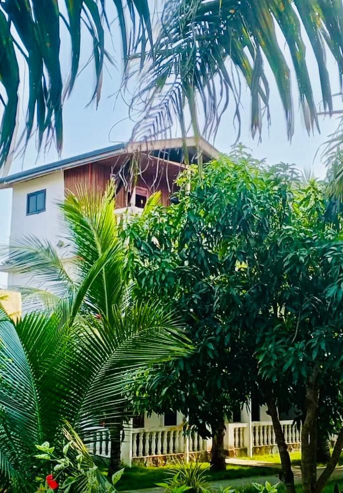 Serenity Haven Lodge Busua Exterior photo